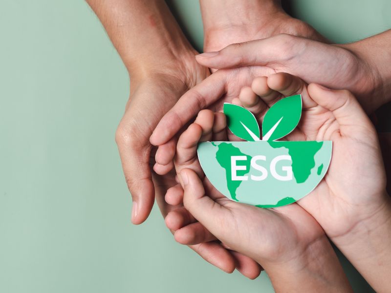 crescimento sustentável quais as estratégias